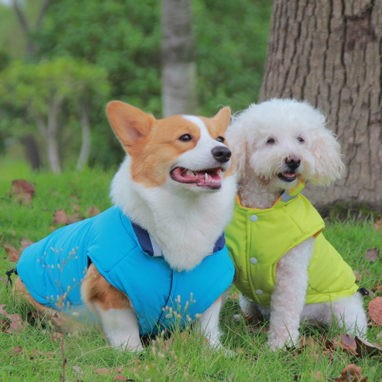 Keep Your Pets Cozy with Our Waterproof Outdoor Jacket