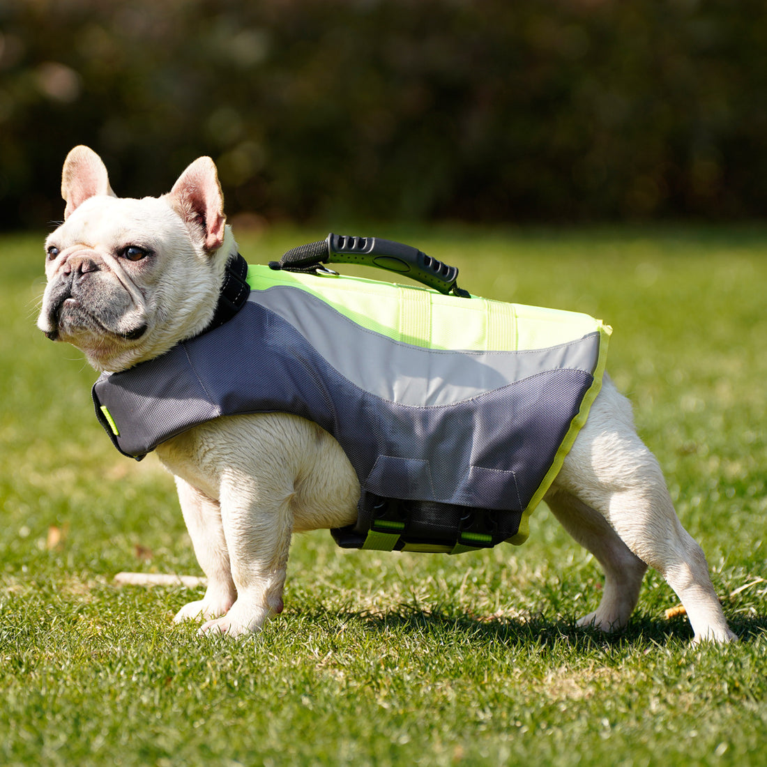 Reflective Pet Life Jacket Swim Vest