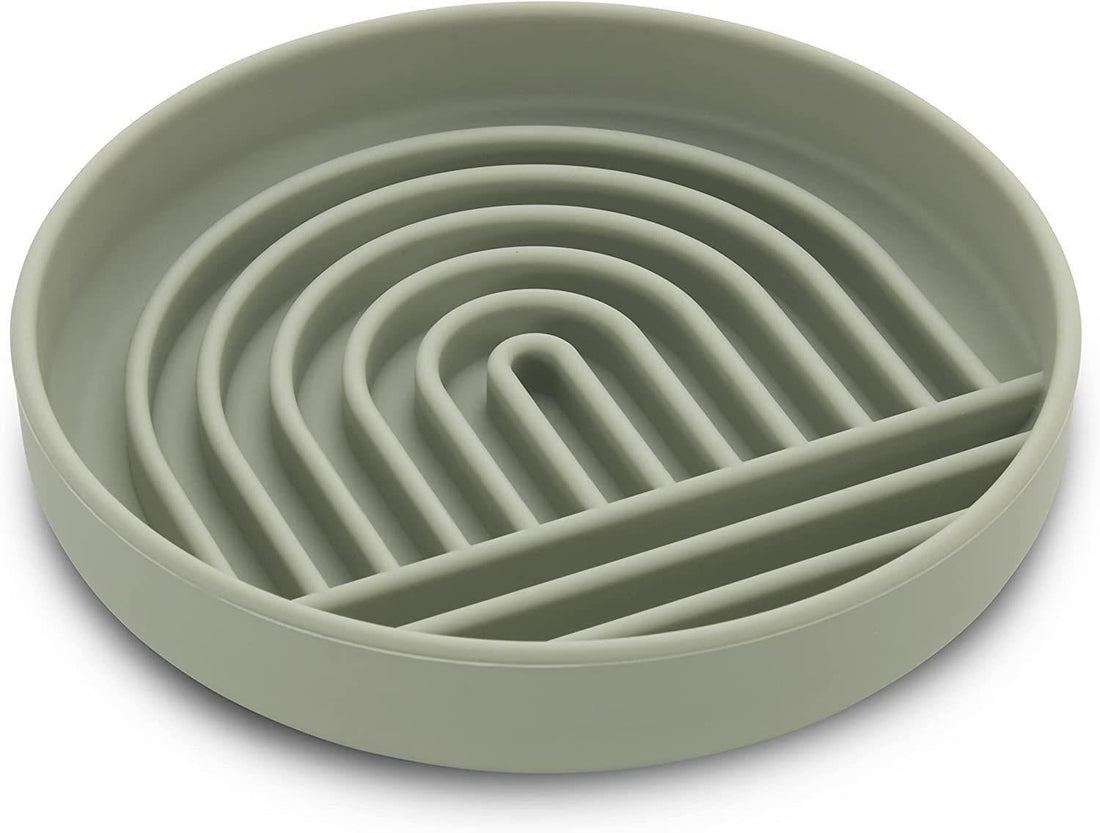 Simple Slow Feeding Pet Bowl For Healthier Eating