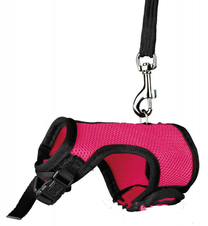 Adjustable Small Pet Leash Durable Walking Strap