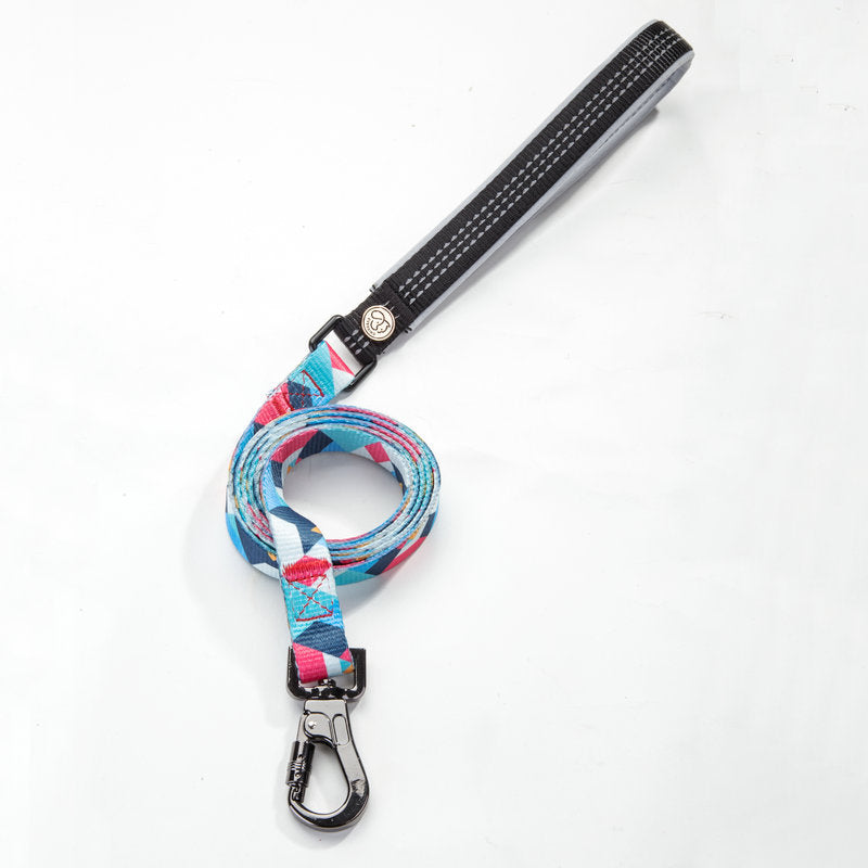 Durable Adjustable Pet Leash For Everyday Use