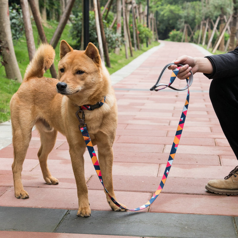 Durable Adjustable Pet Leash For Everyday Use
