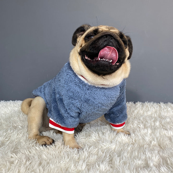 Cozy Knit Sweater Soft Warm Pet Apparel