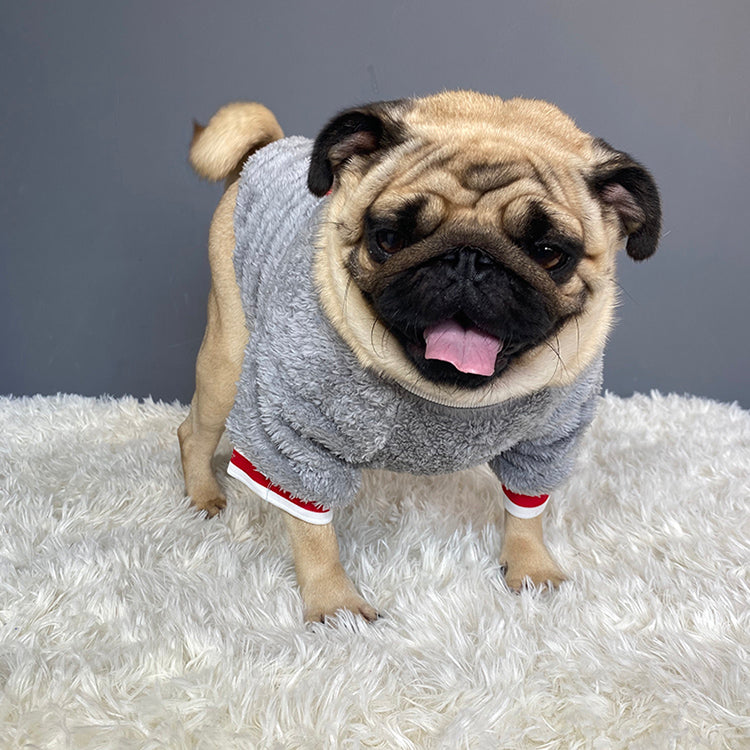 Cozy Knit Sweater Soft Warm Pet Apparel