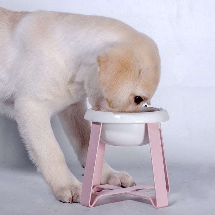 Creative Non-Slip Pet Bowl With Iron Stand 2-In-1 Feeder