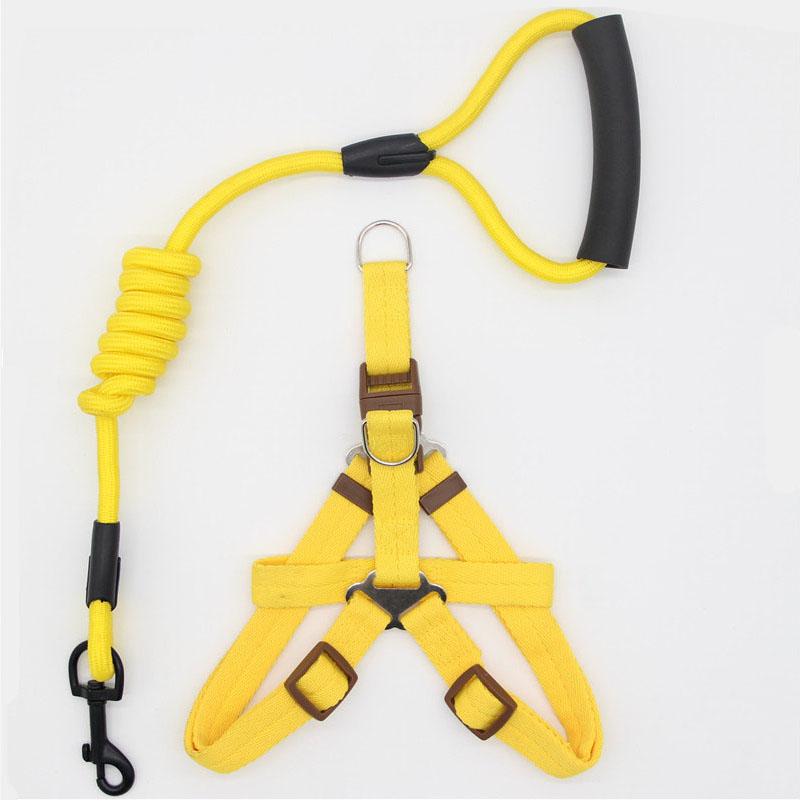 Simple Durable Pet Leash For Everyday Walking
