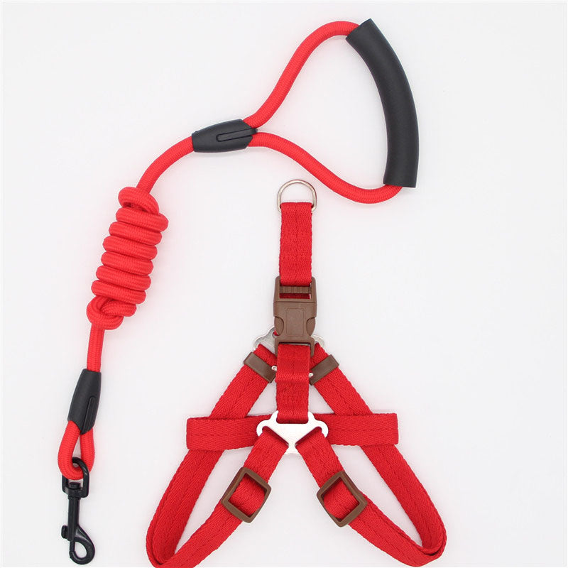 Simple Durable Pet Leash For Everyday Walking