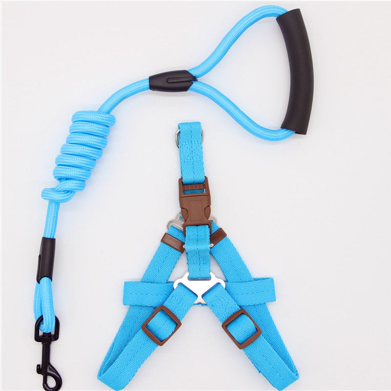Simple Durable Pet Leash For Everyday Walking