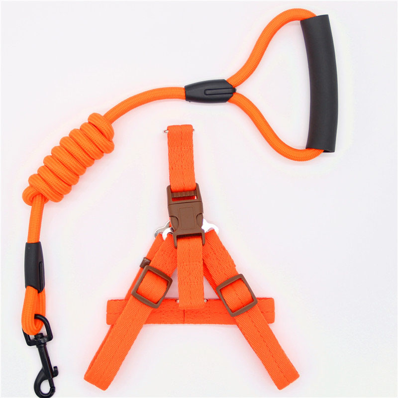 Simple Durable Pet Leash For Everyday Walking