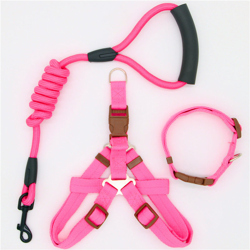 Simple Durable Pet Leash For Everyday Walking