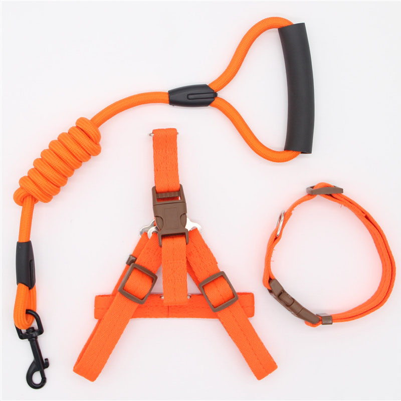 Simple Durable Pet Leash For Everyday Walking