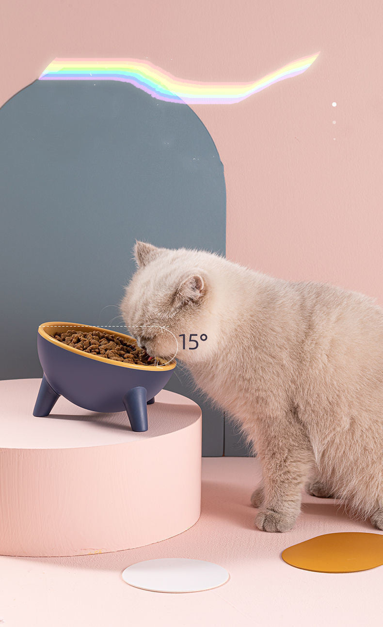 Raised Pet Feeding Bowl With Stand Durable Modern Design