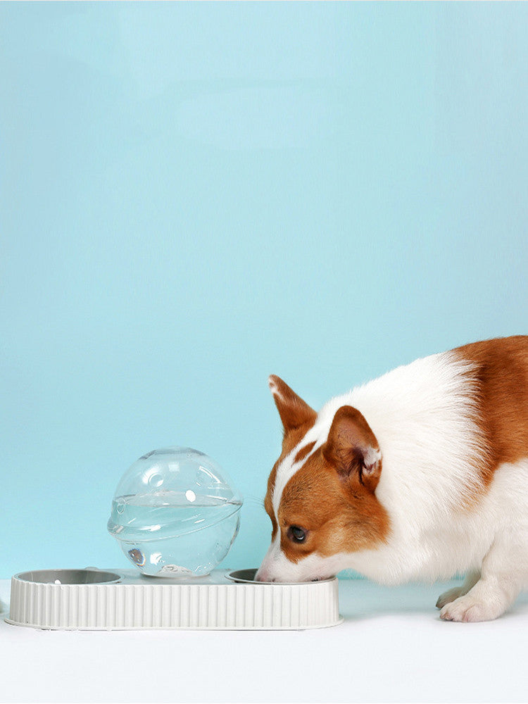 Automatic Pet Water Dispenser And Feeding Bowl Durable Plastic Drinkers