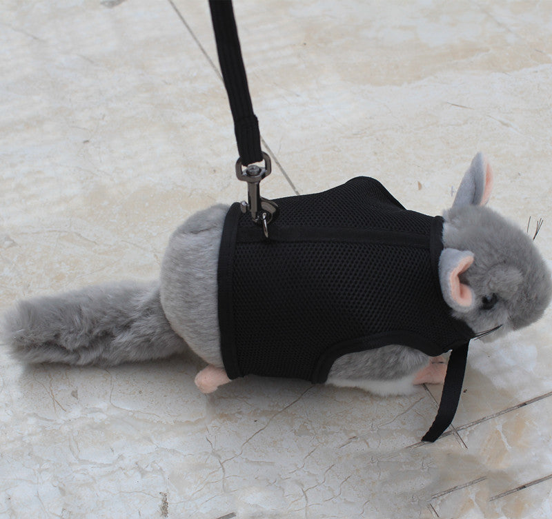 Adjustable Small Pet Leash Durable Walking Strap