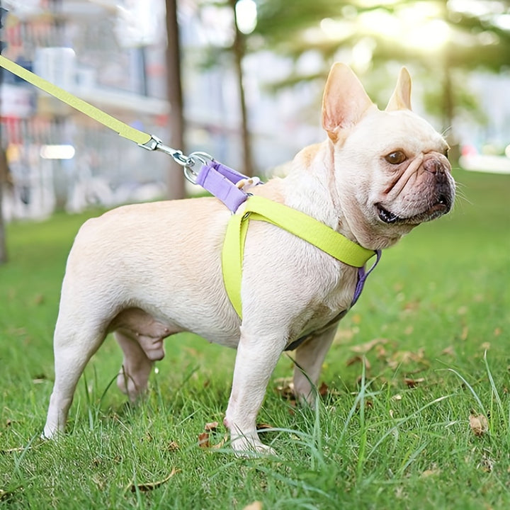 Rainbow Colorblock Pet Harness With Anti-Escape Vest And Chest Leash