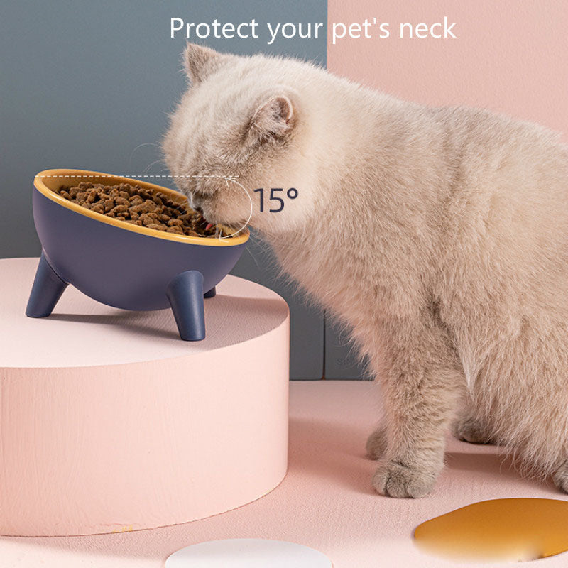 Raised Pet Feeding Bowl With Stand Durable Modern Design