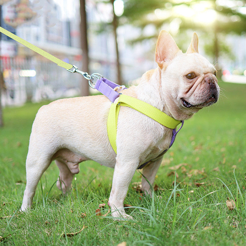 Colorful Drawstring Pet Leash Vest Style Adjustable Harness