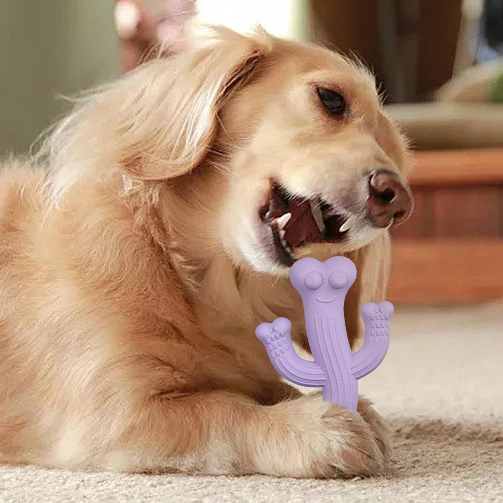 Cactus Pet Chew Toy Durable Interactive Boredom Relief