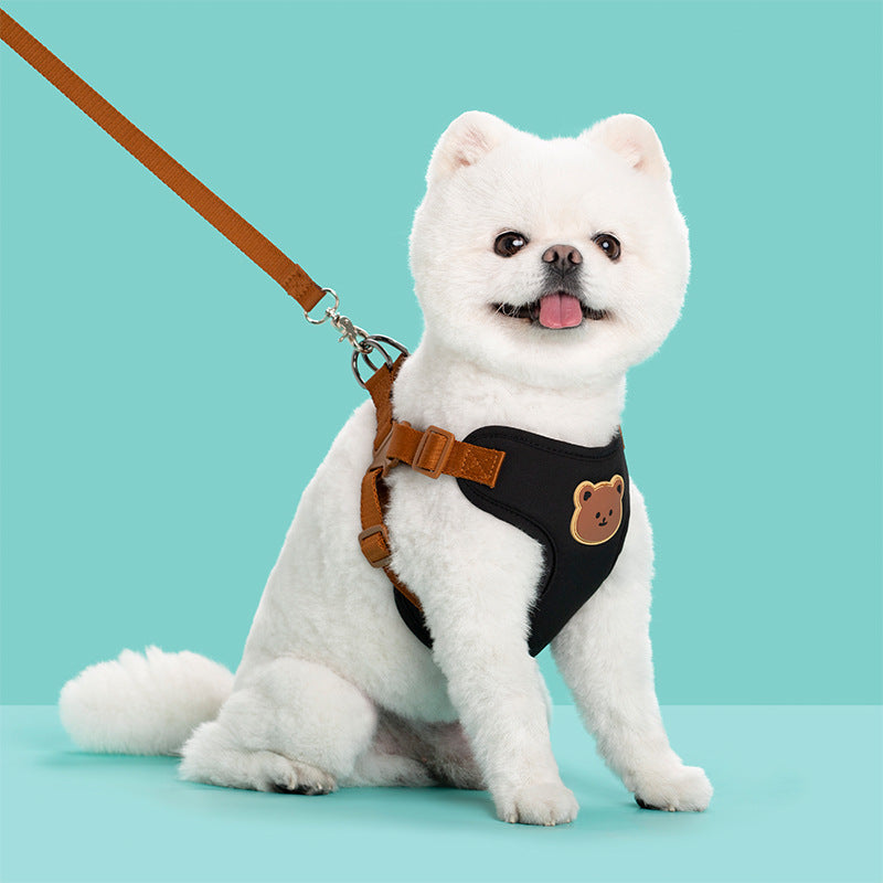 Durable Pet Leash Strap for Outings