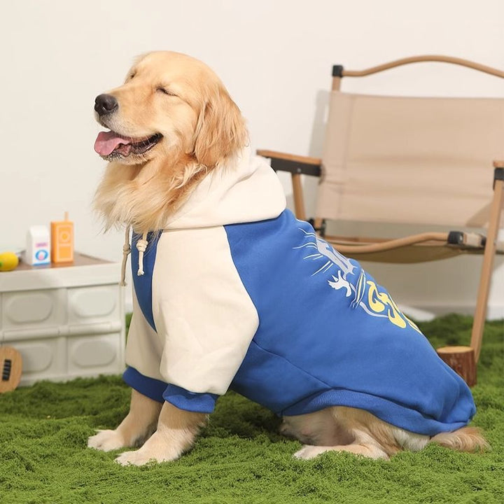 Large Border Collie Pet Sweater