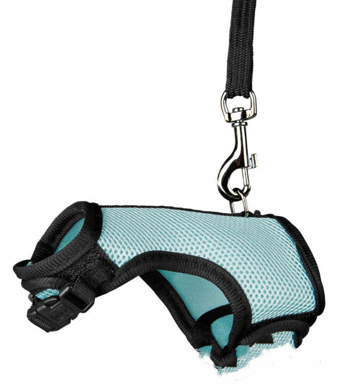Adjustable Small Pet Leash Durable Walking Strap