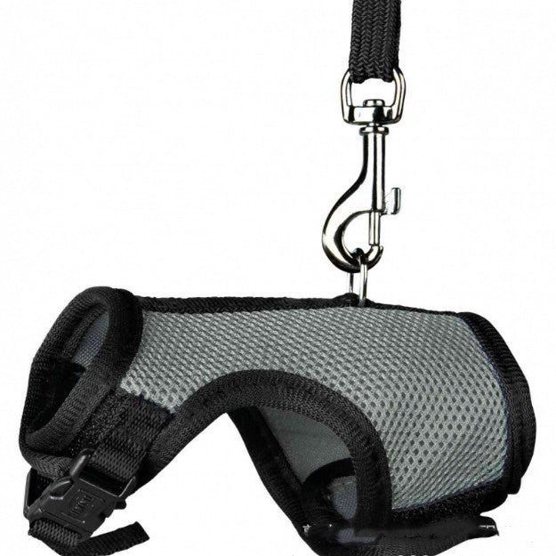 Adjustable Small Pet Leash Durable Walking Strap