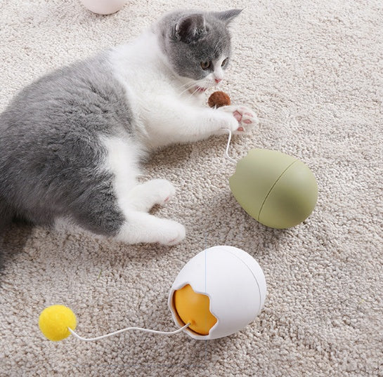 Funny Interactive Pet Toy For Daily Play And Entertainment