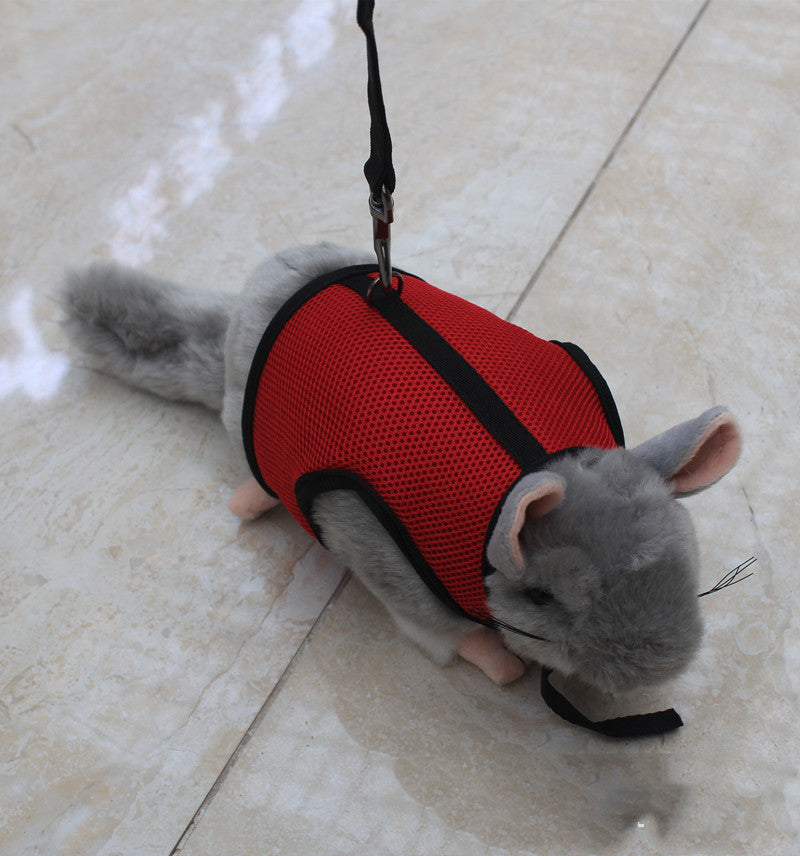 Adjustable Small Pet Leash Durable Walking Strap