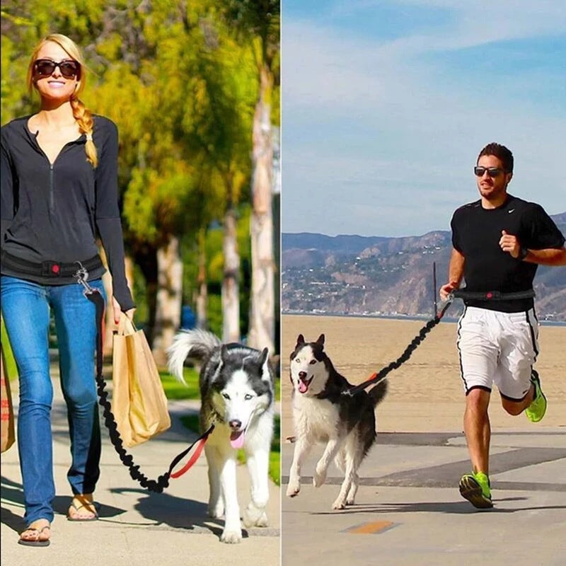 Adjustable Pet Harness And Leash Set For Jogging