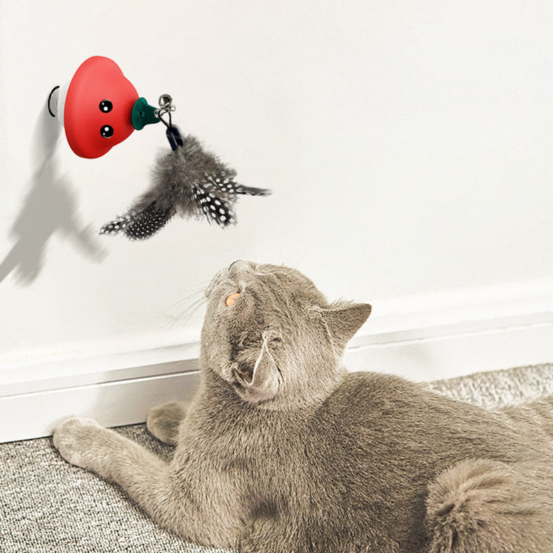 Retractable Suction Cup Pet Wand Toy Interactive Exercise Play