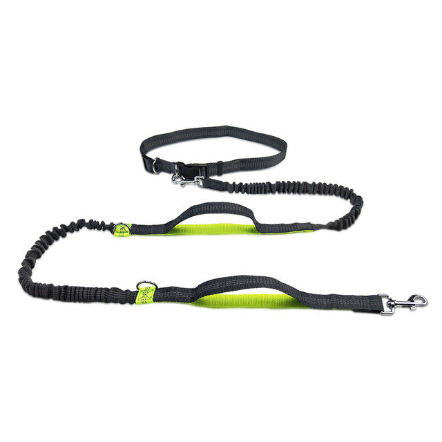 Adjustable Pet Harness And Leash Set For Jogging