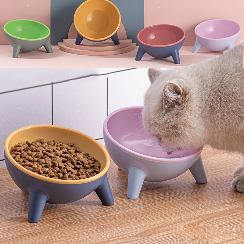 Raised Pet Feeding Bowl With Stand Durable Modern Design