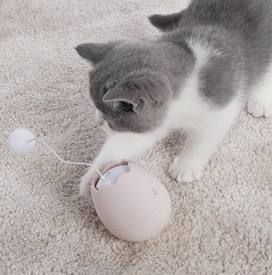 Funny Interactive Pet Toy For Daily Play And Entertainment