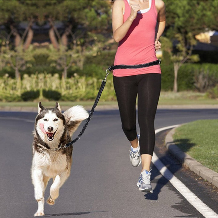 Adjustable Pet Harness And Leash Set For Jogging