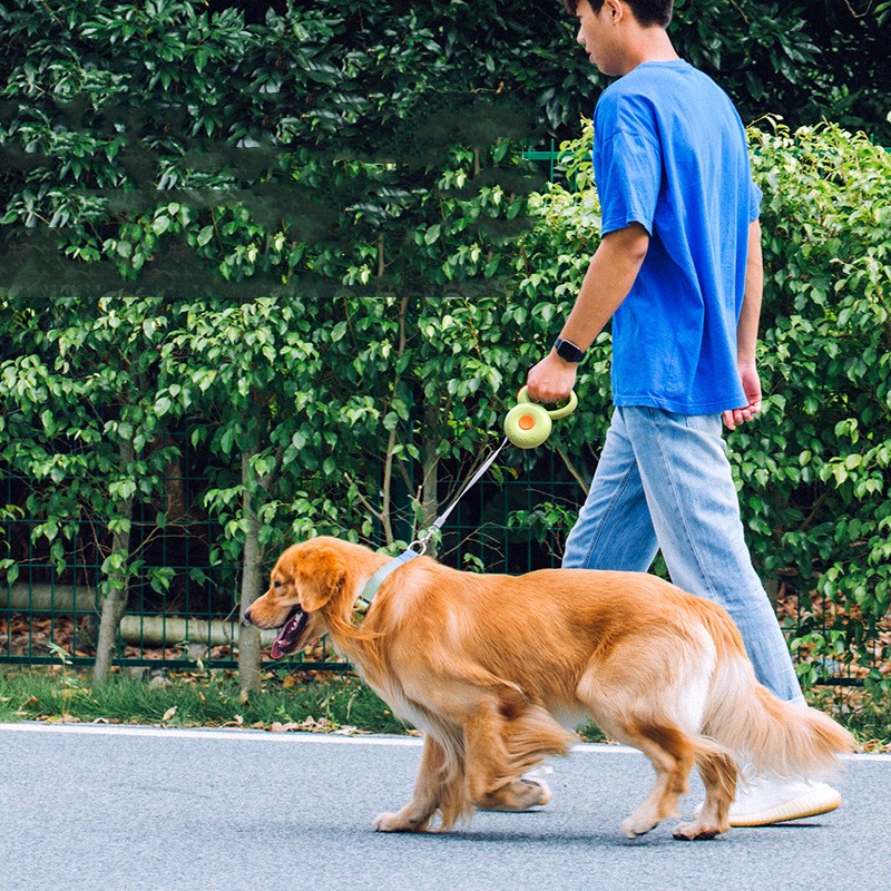 Retractable Reflective Pet Leash Durable Walking Rope
