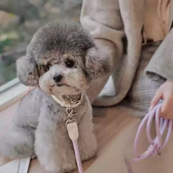 Leather Pet Collar And Handheld Rope Leash Set