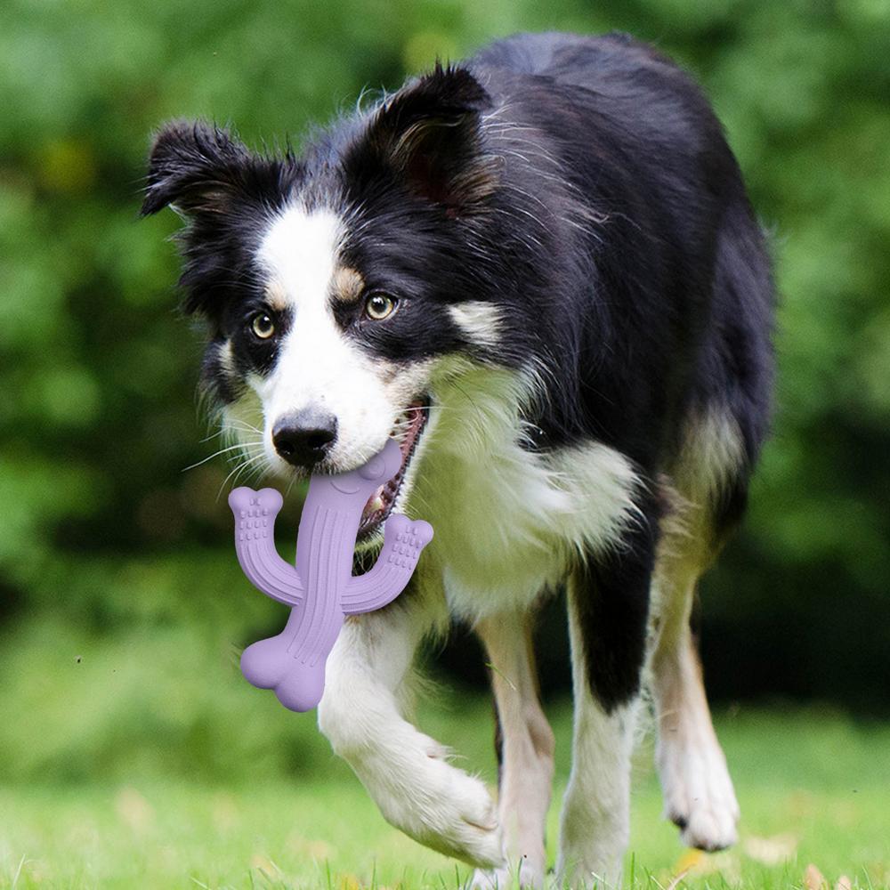 Cactus Pet Chew Toy Durable Interactive Boredom Relief