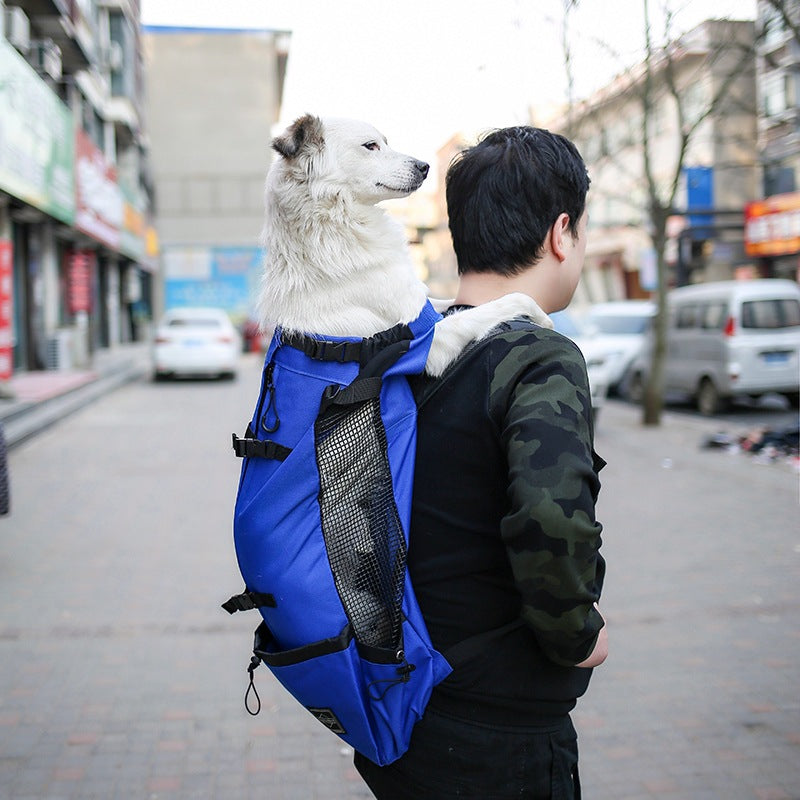 Double-Shoulder Portable Pet Carrier Backpack Travel Outdoor Bag