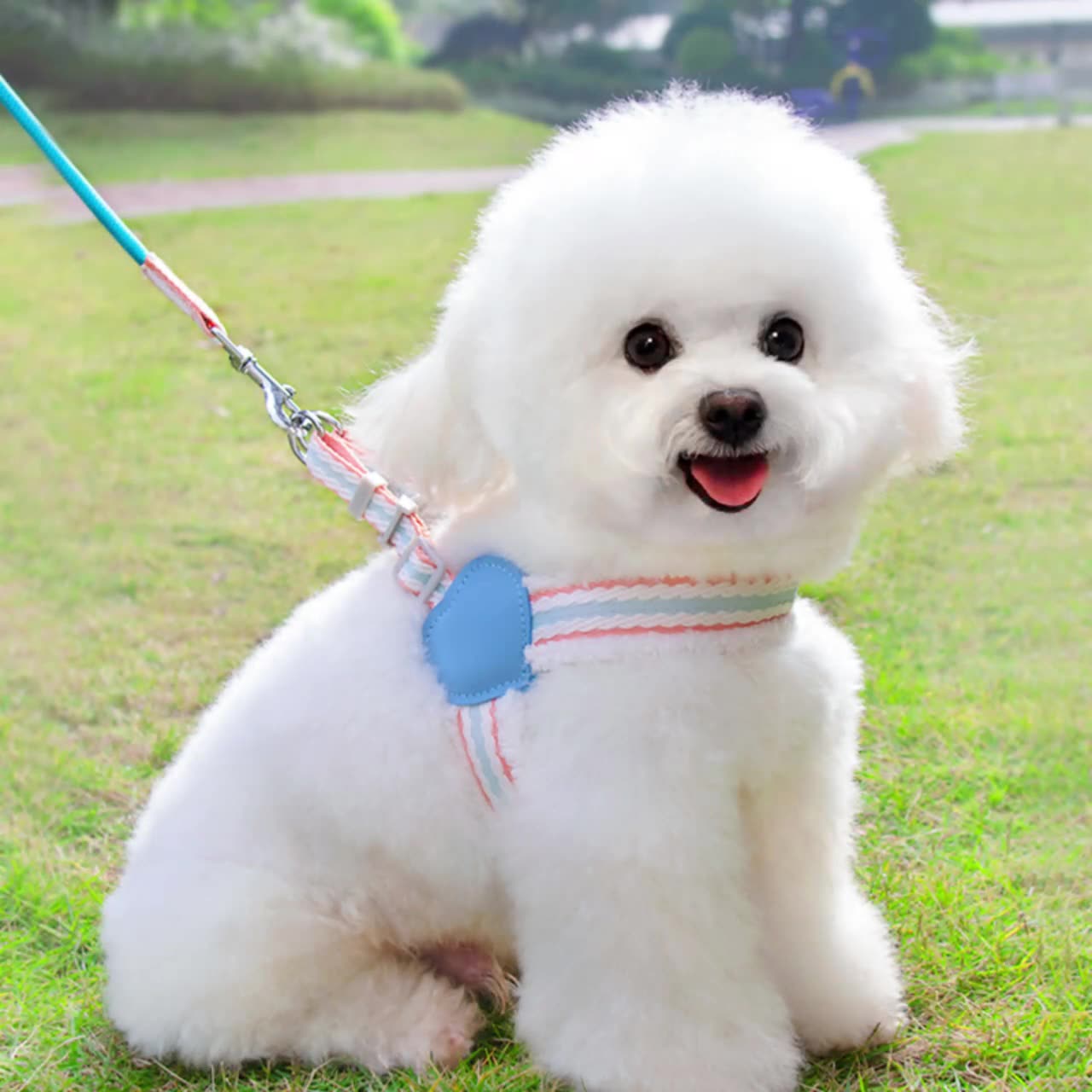 Breathable Pet Chest Harness Leash For Comfortable Summer Walking