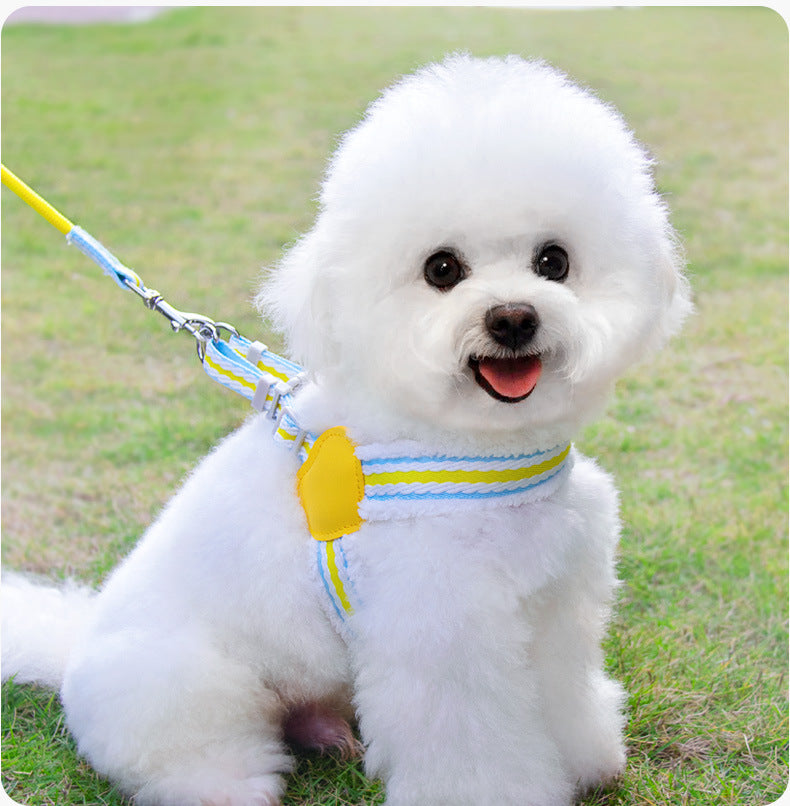 Breathable Pet Chest Harness Leash For Comfortable Summer Walking
