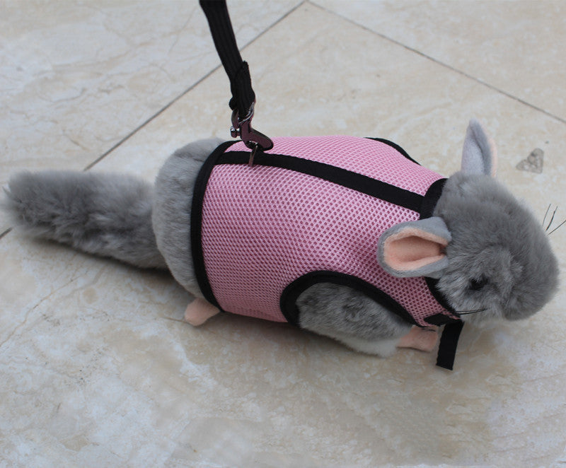 Adjustable Small Pet Leash Durable Walking Strap