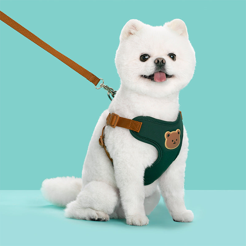Durable Pet Leash Strap for Outings