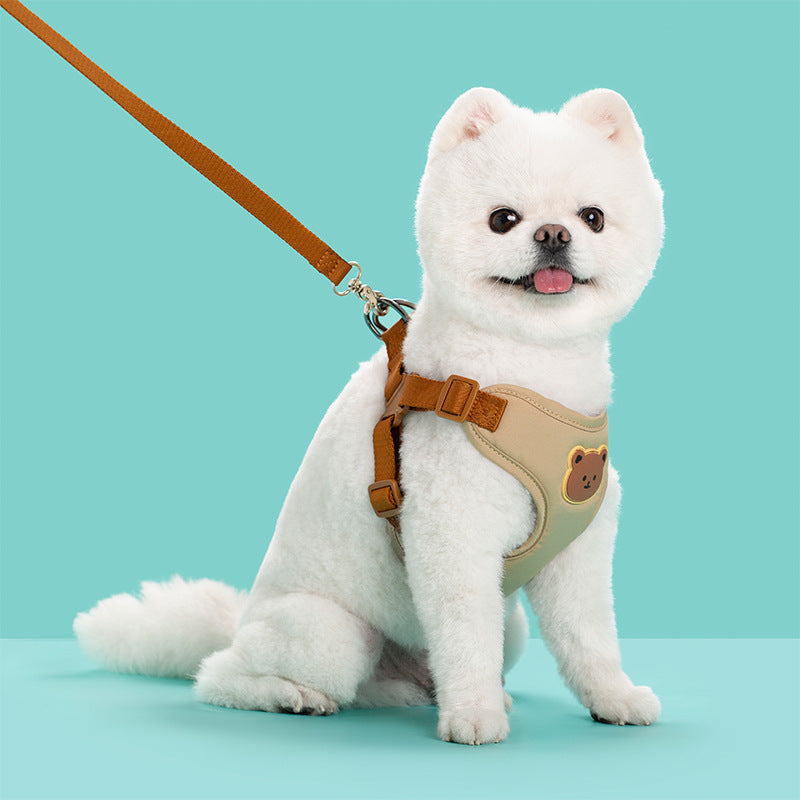 Durable Pet Leash Strap for Outings