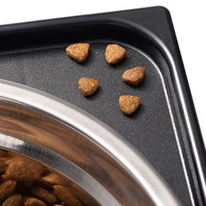 Elevated Pet Feeding Bowl Neck Protection Anti-Tip Medium Large