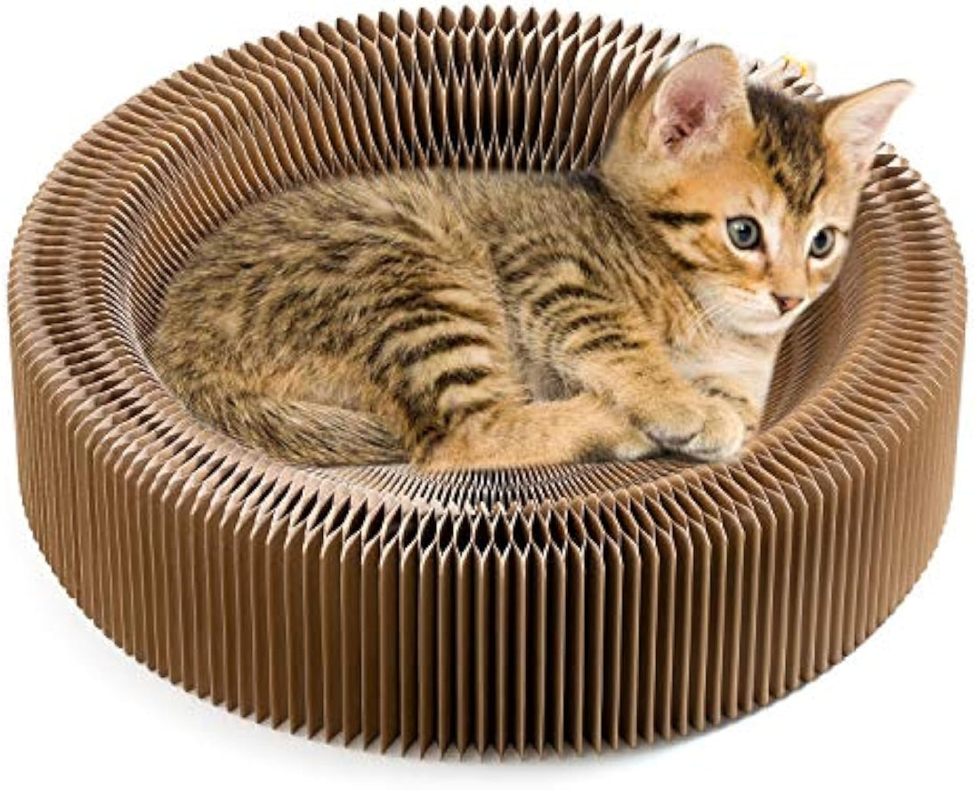 Collapsible Round Cardboard Pet Scratcher And Lounge Bed