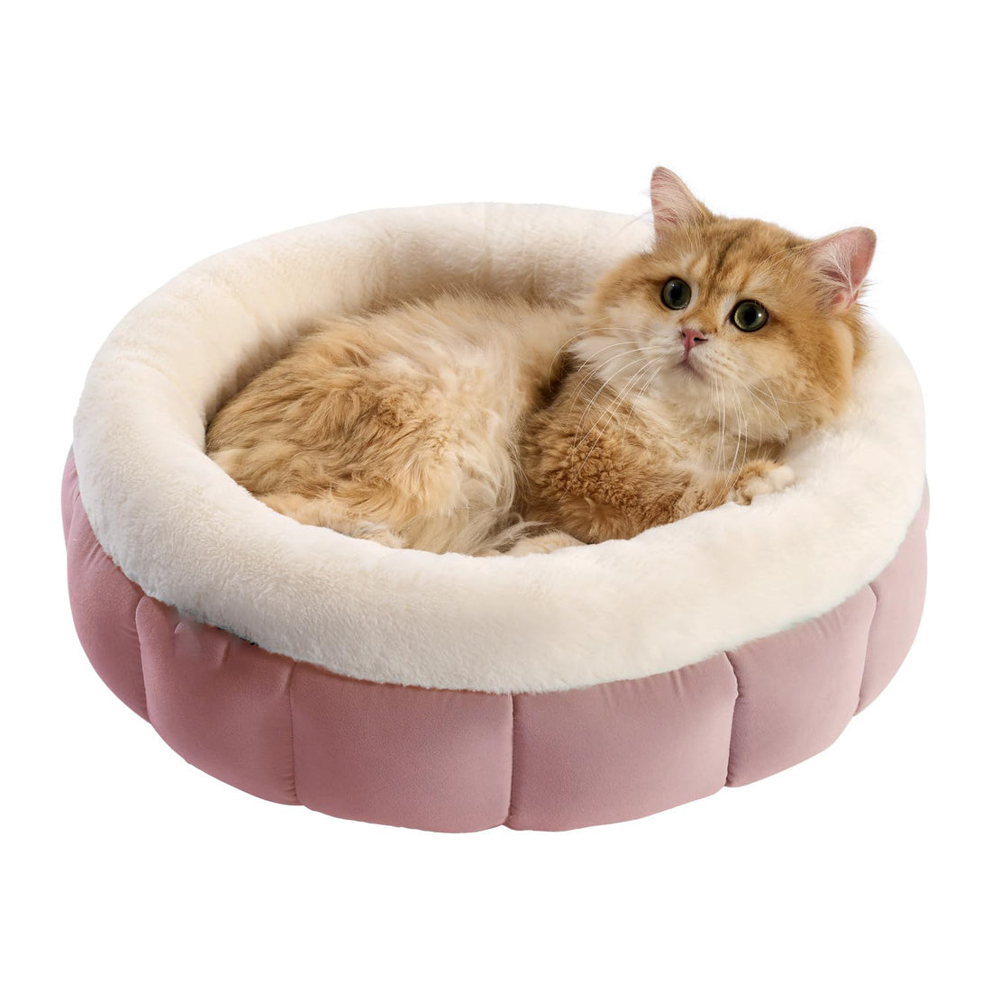Round Donut Pet Bed Washable Anti Slip Comfortable Design