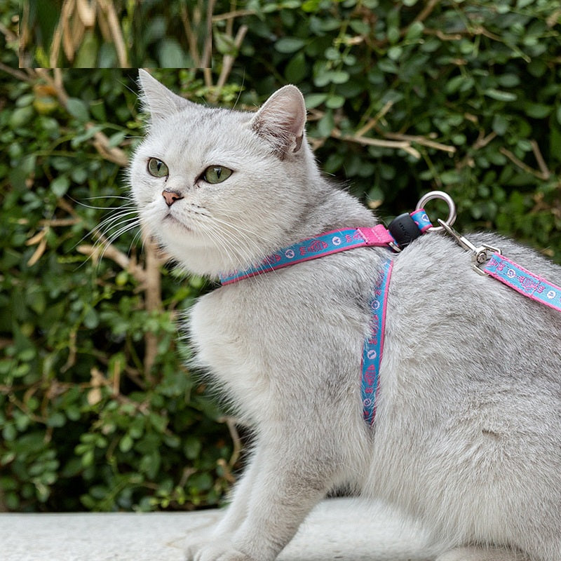 Adjustable Pet Harness Vest With Bell And Chest Strap Leash