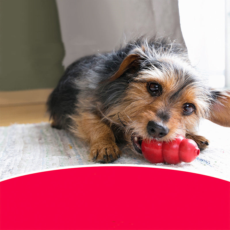 Bite Resistant Rubber Pet Chew Toy For Teeth Grinding