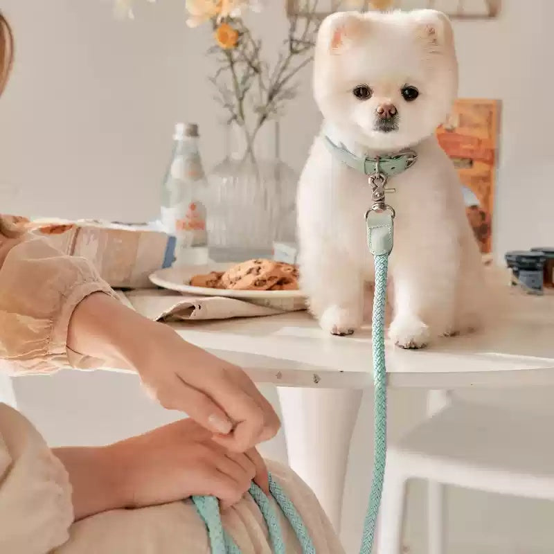 Leather Pet Collar And Handheld Rope Leash Set