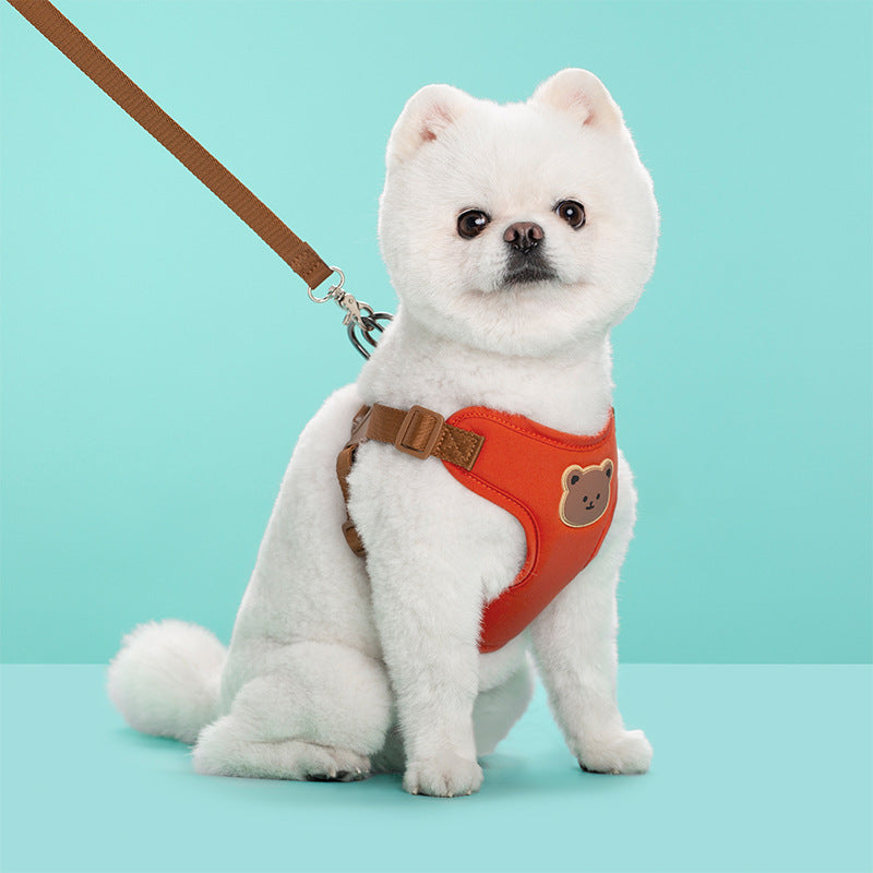 Durable Pet Leash Strap for Outings